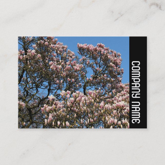 Carte De Visite Side Band - Arbre Magnolia en Fleur (Devant)