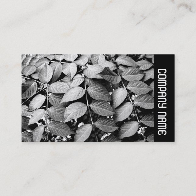 Carte De Visite Side Band - Feuille (Devant)