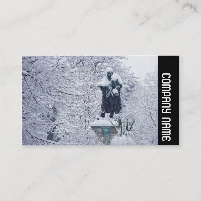 Carte De Visite Side Band - Neige dans le parc (Devant)