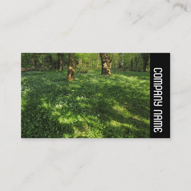 Carte De Visite Side Band - Spring in the Woods (Devant)