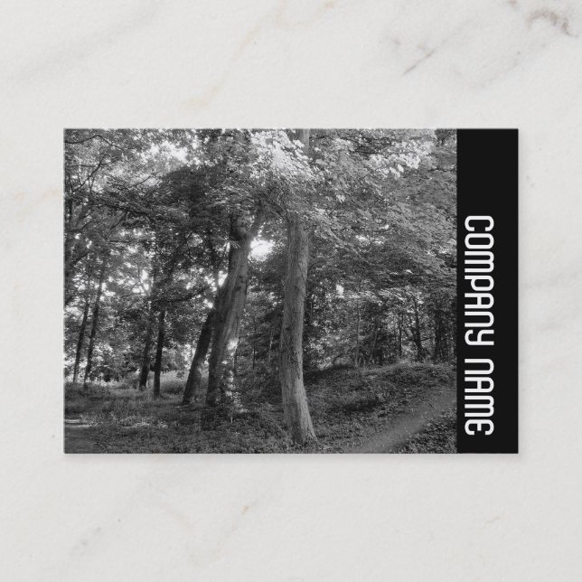 Carte De Visite Side Band - Summer in the Woods (Devant)