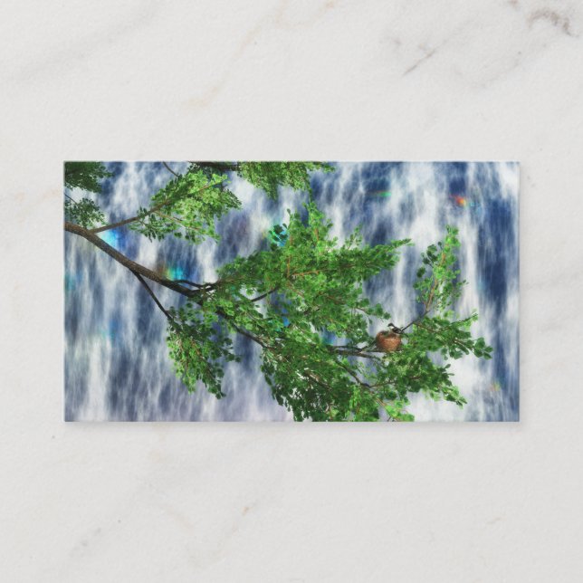 Carte De Visite Signets de Birdsnest Falls (Devant)