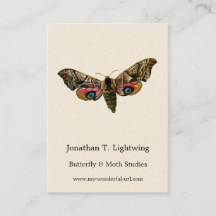 Carte De Visite Smerinthus ocellata - Eyed Hawk-Moth Image couleur