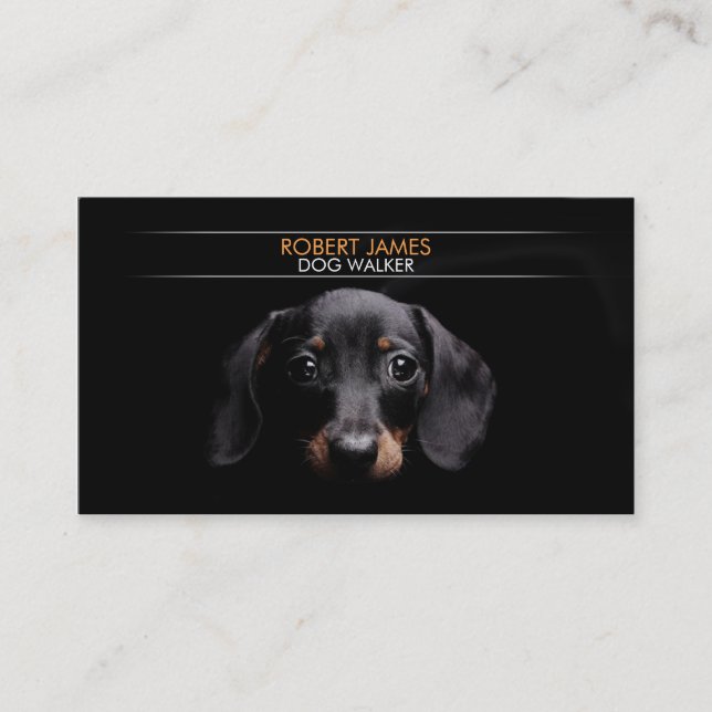 Carte De Visite Soin des animaux familiers élégant, séance (Devant)