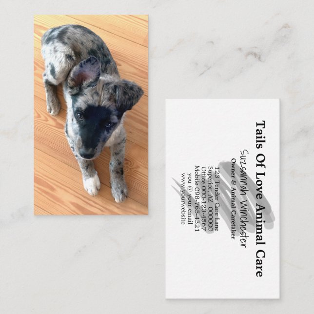 Carte De Visite Soins aux animaux Ajouter votre photo verticale pe (Devant / Derrière)