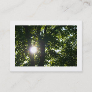 Carte De Visite Soleil brillant à travers les arbres