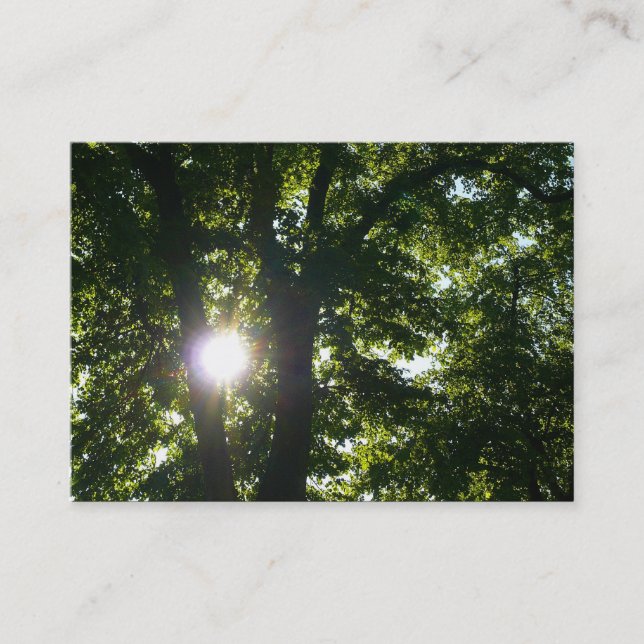 Carte De Visite Soleil brillant à travers les arbres (Devant)