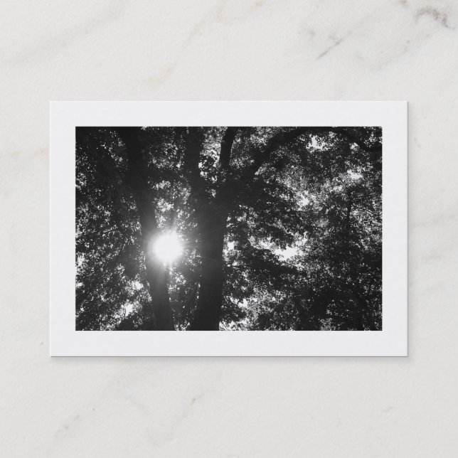 Carte De Visite Soleil brillant à travers les arbres B&W (Devant)