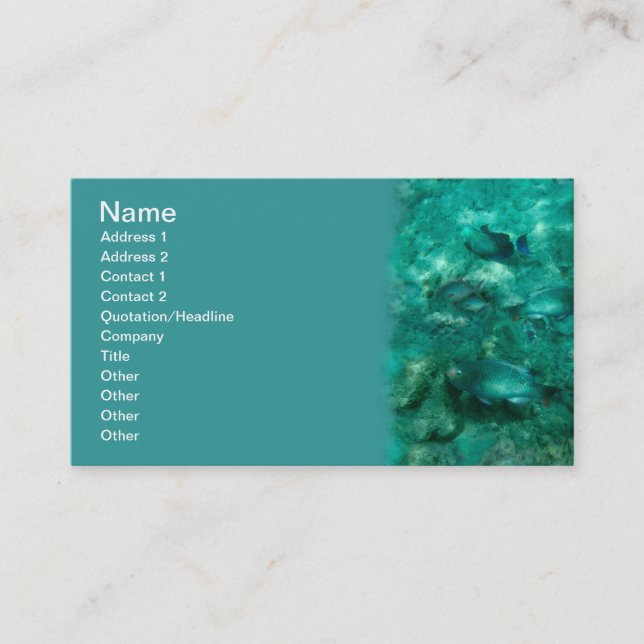 Carte De Visite Sous la mer (Devant)