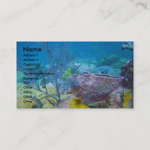 Carte de visite sous-marin