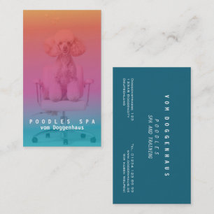 Carte de visite Spa Poodle rose
