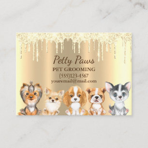 Carte De Visite Sparkle Driver Shimmer Chipies Service de toiletta