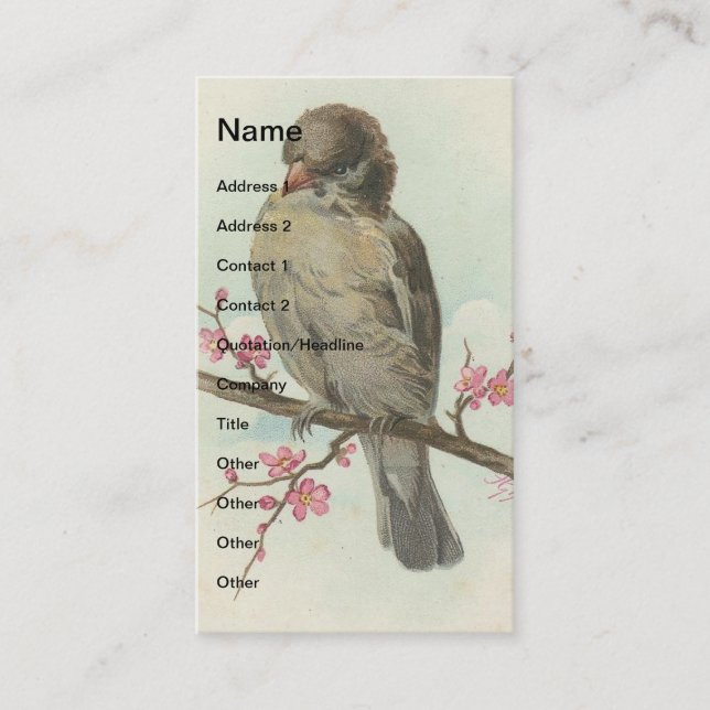 Carte De Visite Sparrow Vintage (Devant)