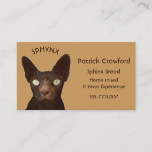 Carte De Visite Sphynx Éleveur De Chat Et Formation