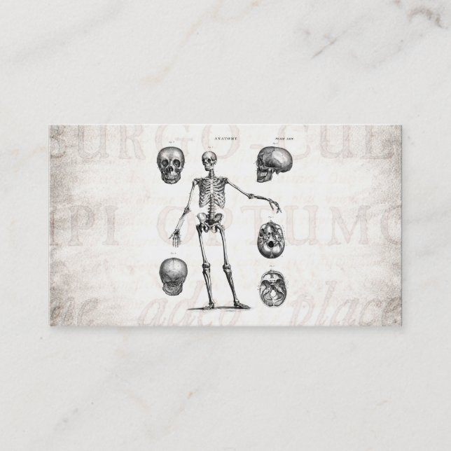 Carte De Visite Squelettes antiques squelettiques d'anatomie de (Devant)