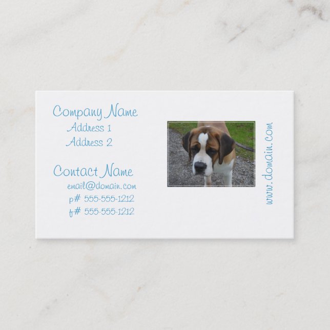 Carte De Visite St Bernard adorable (Devant)