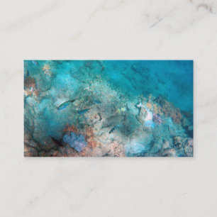 Carte de visite standard 3,5 pouces x 2,0 pouces