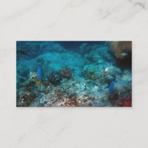 Carte de visite standard 3,5 pouces x 2,0 pouces