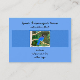 Carte De Visite Steller's Jay Painting - Art original pour oiseaux
