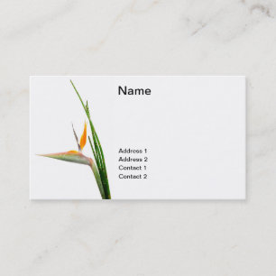 Carte De Visite Strelitzia Reginae et roseau