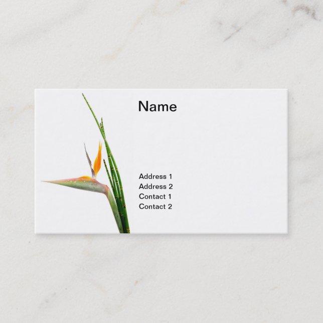 Carte De Visite Strelitzia Reginae et roseau (Devant)