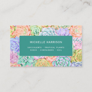 Carte De Visite Succulents Aquarelle Colorée Plantes Shop QR Code