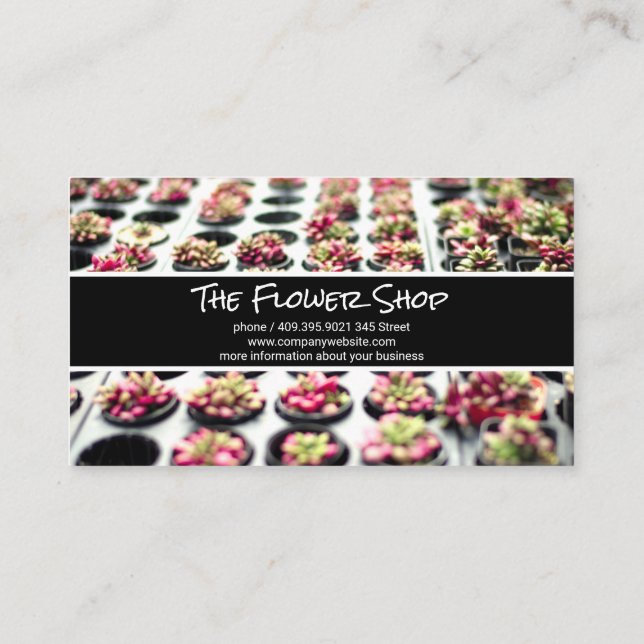 Carte De Visite Succulents | Fleurs | Pépinière (Dos)