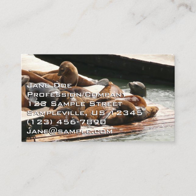 Carte De Visite Sunning Lions à San Francisco (Devant)