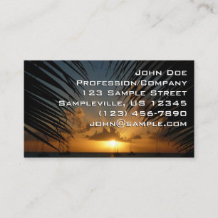 Carte De Visite Sunset Through Palm Fronds
