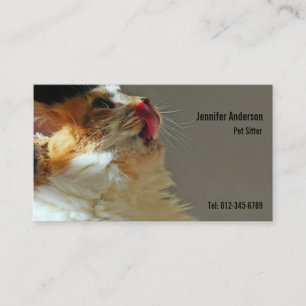 Carte De Visite Sweet Cat Sammi Jolie jolie photo