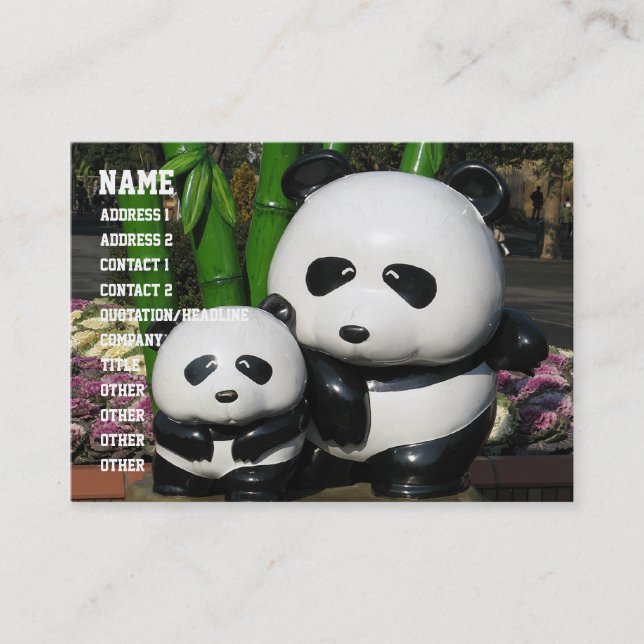 Carte De Visite SYMBOLE Panda DU Zoo D'Ueno (Devant)