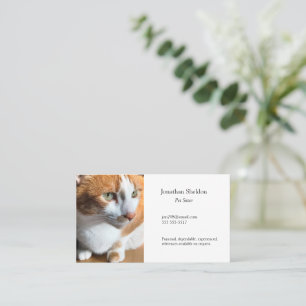 Carte De Visite Tabby cat closeup
