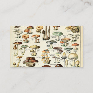 Carte De Visite Tableau vintage des champignons comestibles