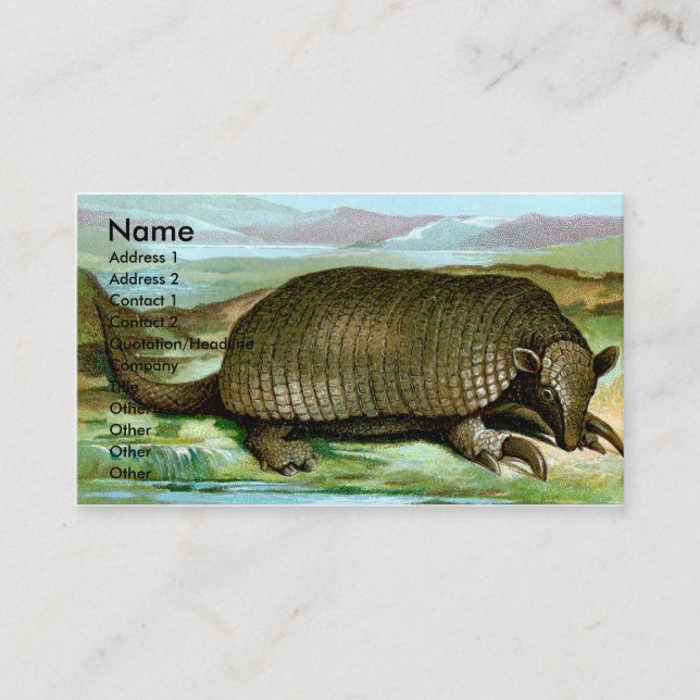 Carte De Visite Tatou géant (Devant)