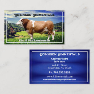 Carte De Visite Taureau Simmental dans le pâturage