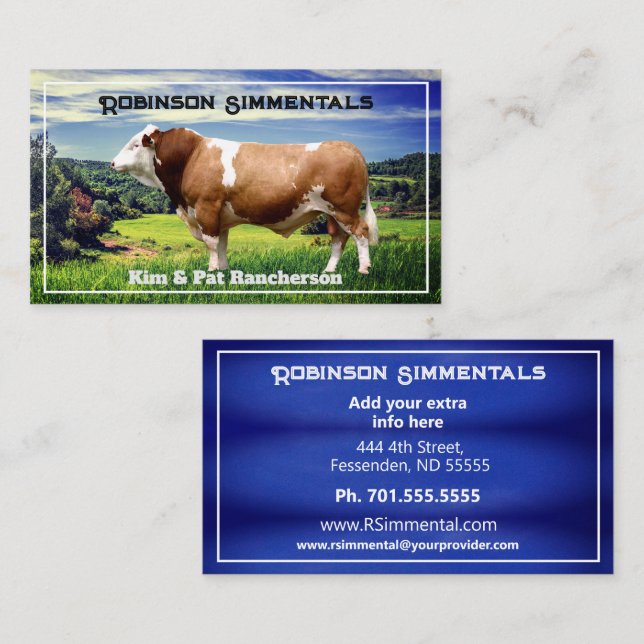 Carte De Visite Taureau Simmental dans le pâturage (Devant / Derrière)