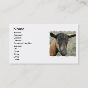 Carte De Visite Tête brune de chèvre d'Oberhasli tirée en couleurs