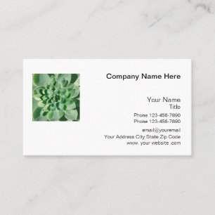 Carte De Visite Thème Succulent Nature