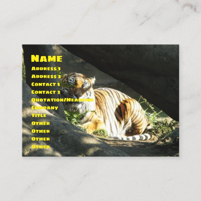 Carte De Visite Tiger Catnap (Devant)