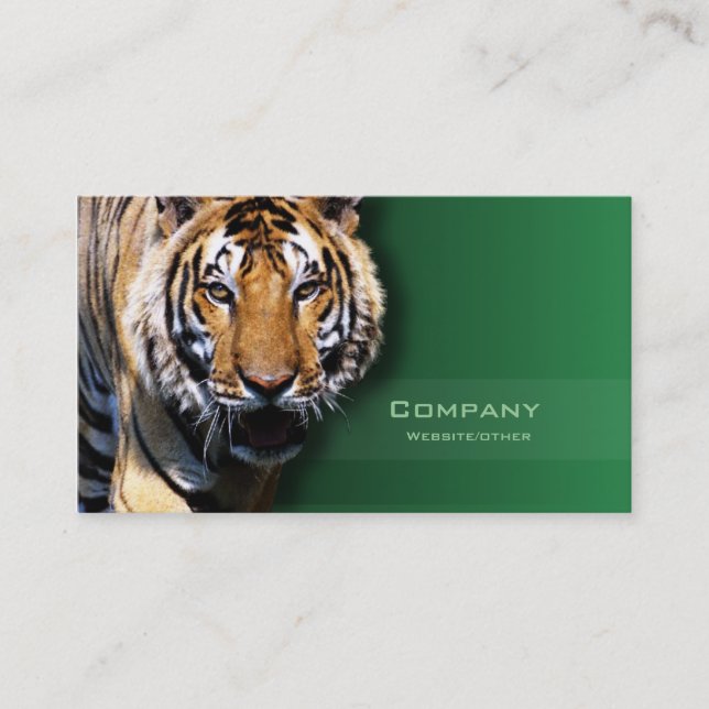 Carte De Visite Tigre (Devant)