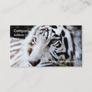 Carte De Visite Tigre blanc mignon