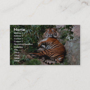 Carte De Visite Tigre de Bengale