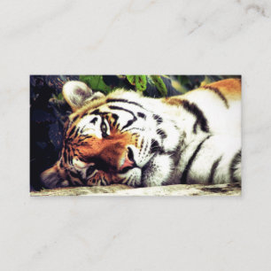 Carte De Visite Tigre d'escalier