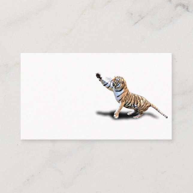 CARTE DE VISITE TIGRE FÂCHÉ (Devant)