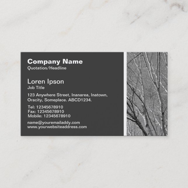 Carte De Visite Ton texture - Branches de bouleau d'argent (Devant)