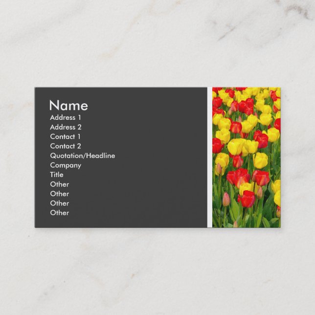 Carte De Visite Tonalité Texture (Tulipes Colorées) (Devant)