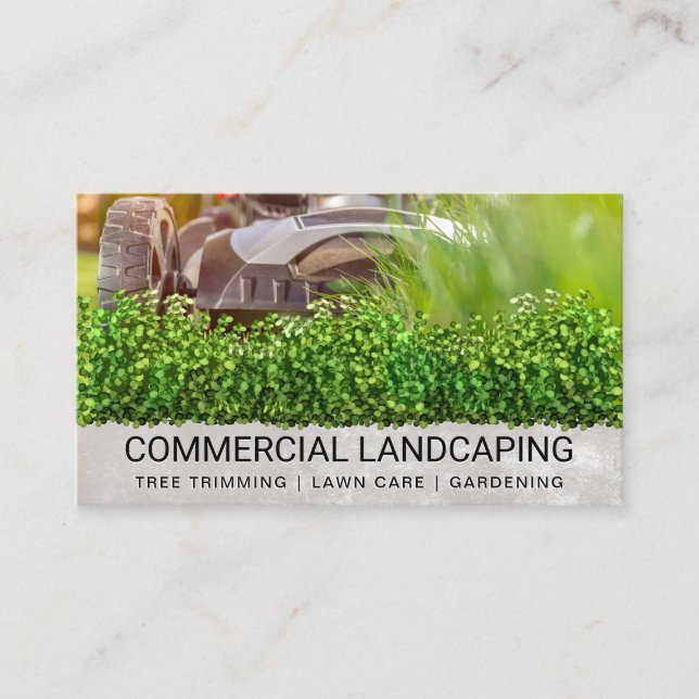 Carte De Visite tondeuse à gazon coupant l'herbe | Paysage | Poiss (Devant)