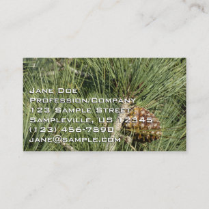 Carte De Visite Torrey Pine Closeup California Botanical