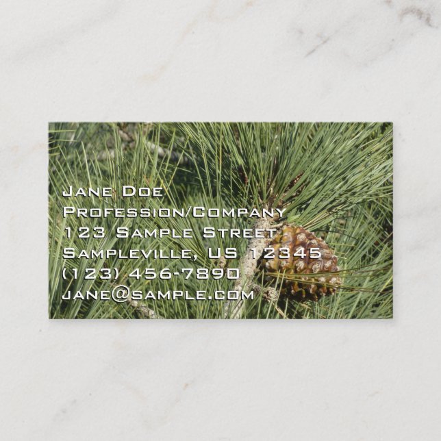 Carte De Visite Torrey Pine Closeup California Botanical (Devant)