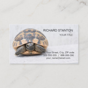 Carte De Visite Tortue